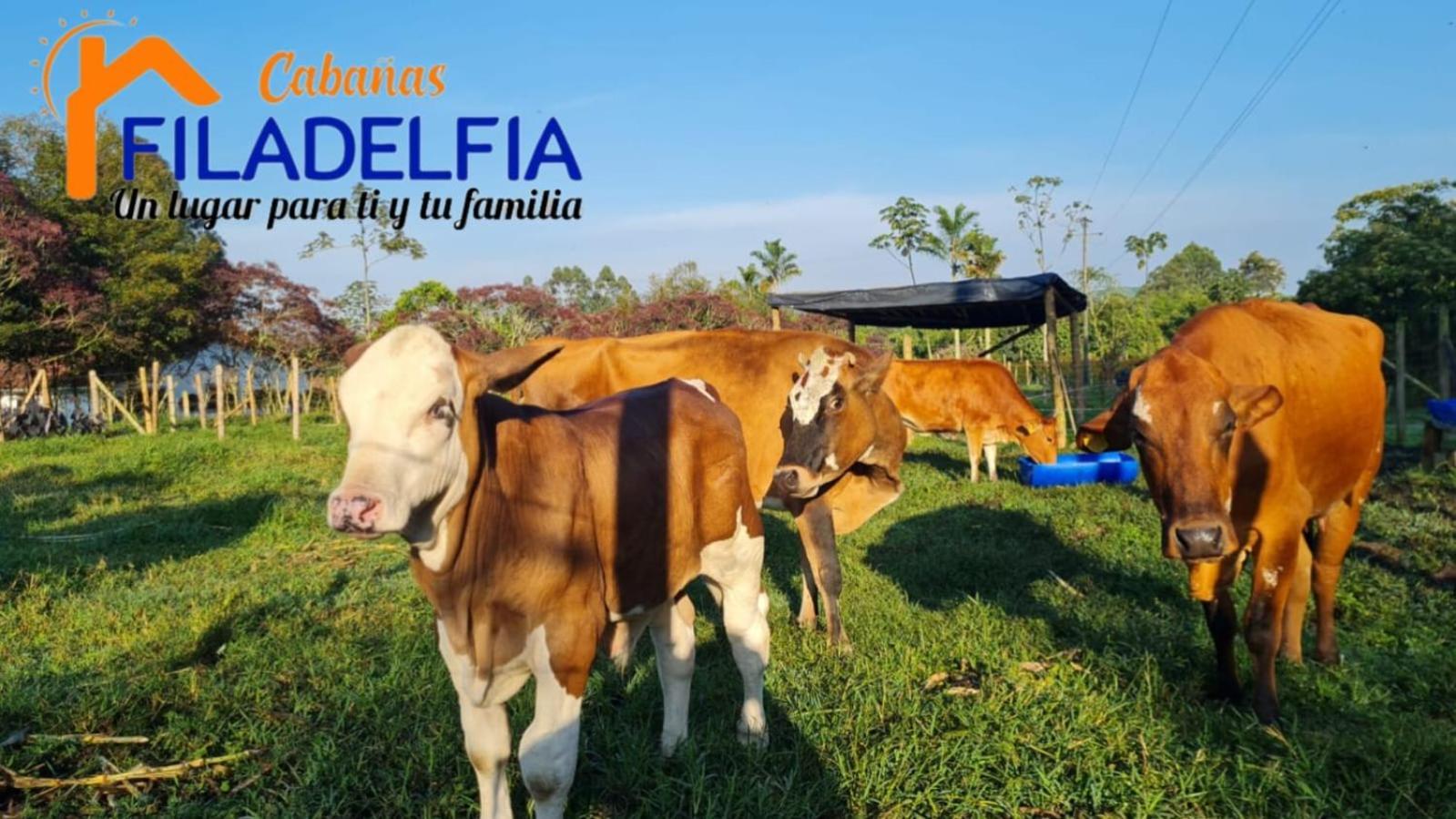 Cabanas Filadelfia ซานตาโรซา เดกาบัล ภายนอก รูปภาพ